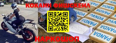 твердый Кингисепп