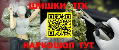 твердый Кингисепп
