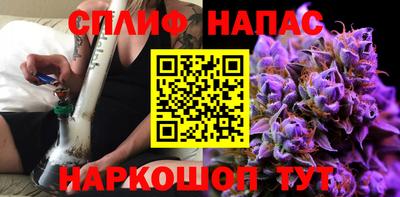 твердый Кингисепп