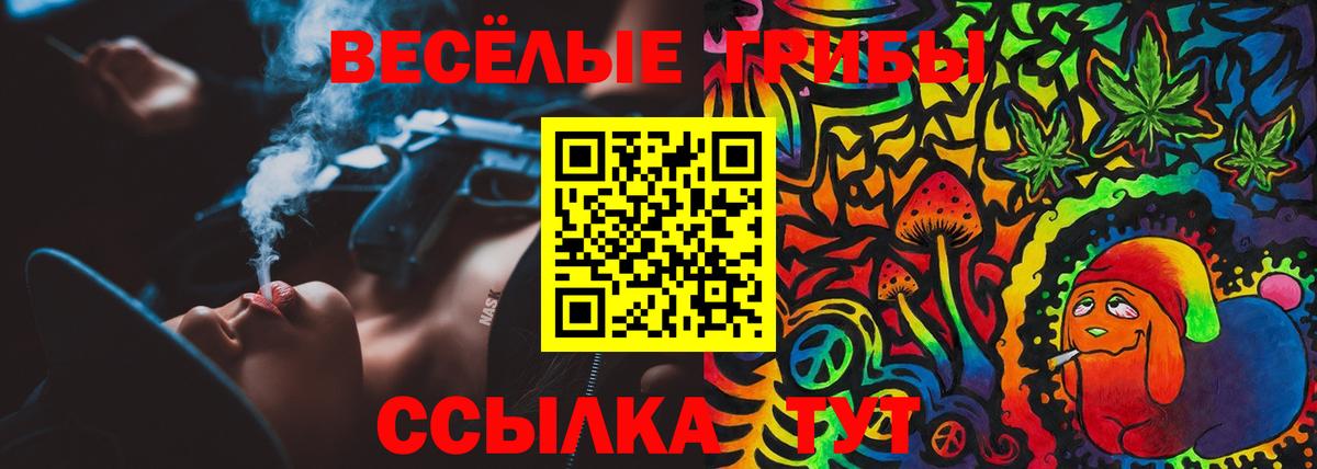 Галлюциногенные грибы Psilocybine cubensis  Вход с VPN  Канаш 